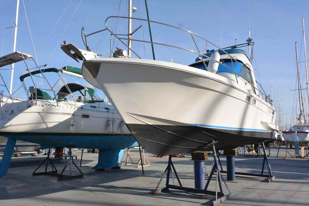 Featured image 3